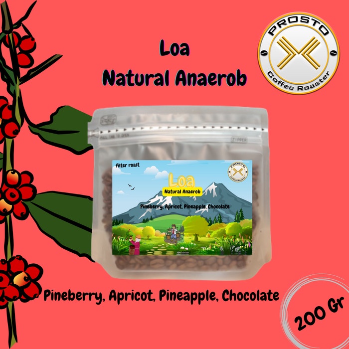 

Cantik Loa Natural Anaerob ( 200 Gr ) Singel Origin Arabica Sale!!!