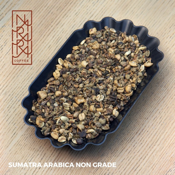 

Menakjubkan Green Bean 1Kg Non Grade Sumatra Arabica -Biji Kopi Sumatera Arabika Promo