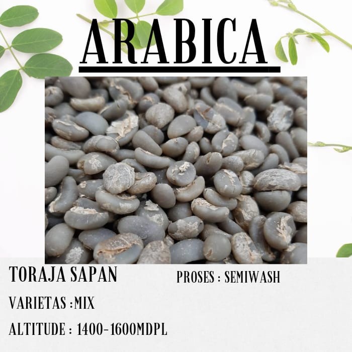 

Unik Biji Kopi Greenbean Arabica Toraja Sapan Semiwash 1Kg Arabika Terlaris