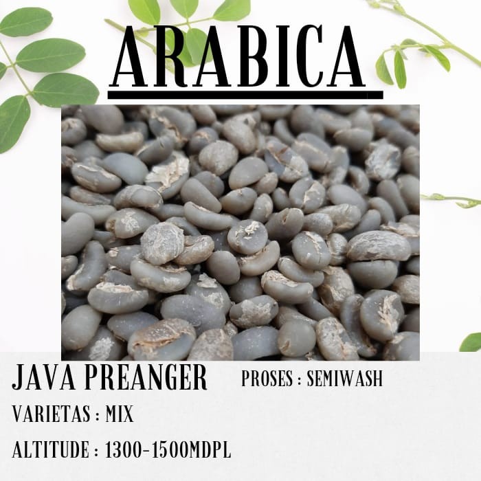 

Terlaris Biji Kopi Greenbean Arabika Java Preanger 1Kg Semiwash Arabica Hemat