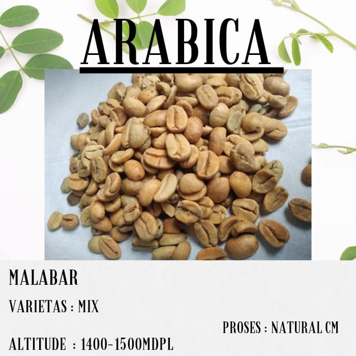 

Produk Biji Kopi Arabika Malabar 1 Kg Natural Cm Berkualitas