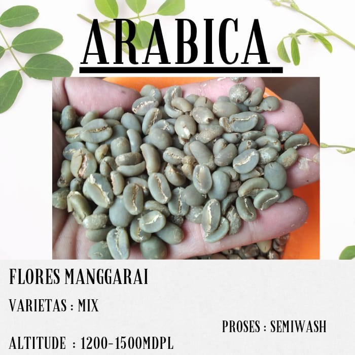 

Lucu Biji Kopi Greenbean Arabika Flores Manggarai 1Kg Semi Wash Diskon