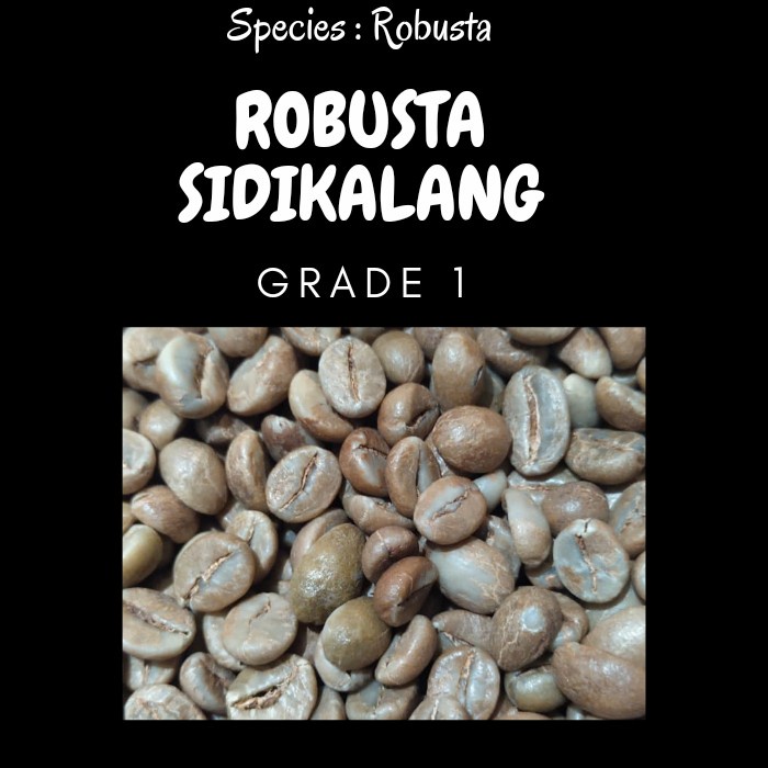 

Wow Green Bean Robusta Sidikalang - Fine Robusta 1Kg Trendi