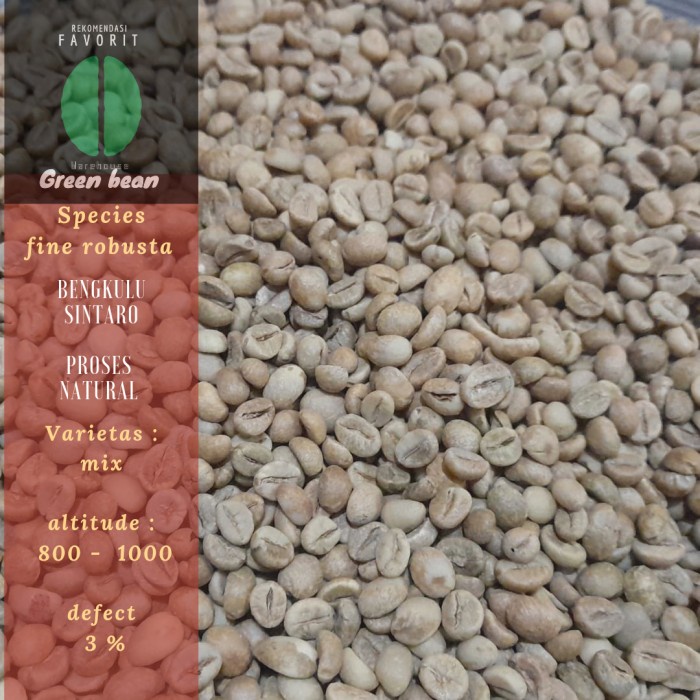 

Promo Bulan Ini Green Bean / Biji Kopi Fine Robusta Bengkulu - Natural Terlaris