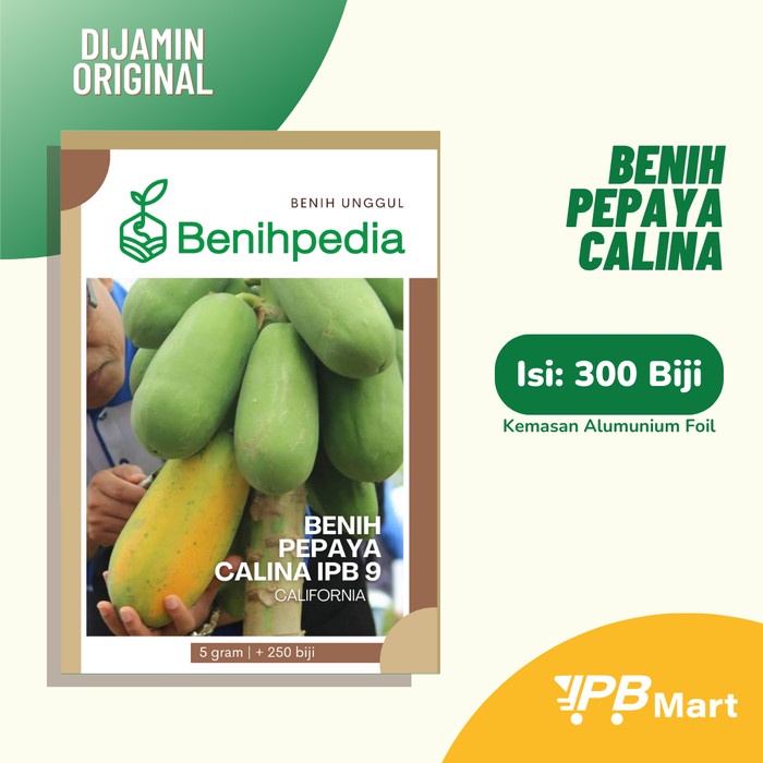 BENIH PEPAYA CALLINA IPB CALIFORNIA ORIGINAL