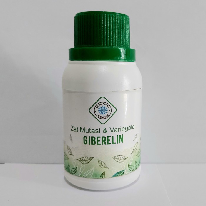 ZAT MUTASI DAN VARIEGATA / GA3 / GIBERELIN ORIGINAL