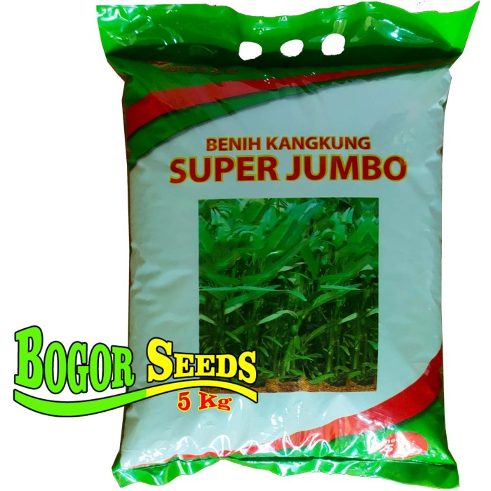 KANGKUNG ISI 5KG - BIBIT BENIH KANGKUNG SUPER JUMBO ORIGINAL