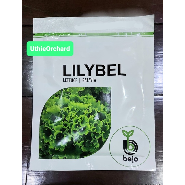 BENIH BEJO SEED - SELADA BATAVIA LILYBEL KEMASAN 1000 PILLS ORIGINAL