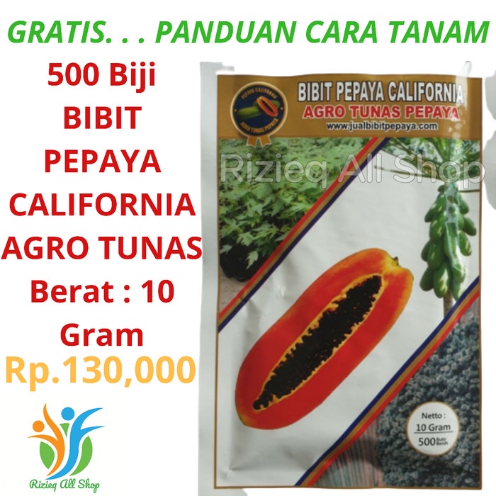 BENIH BIBIT PEPAYA CALIPORNIA 10GR PRODUK AGRO TUNAS PEPAYA ORIGINAL