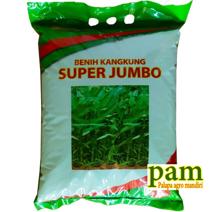 ISI 5KG KANGKUNG - BIBIT BENIH KANGKUNG SUPER JUMBO ORIGINAL