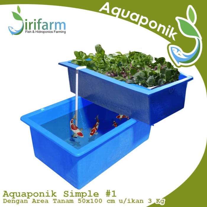 JIRIFARM PAKET AKUAPONIK SIMPEL#1 INCLUDE BIBIT IKAN NILA DAN SAYUR ORIGINAL