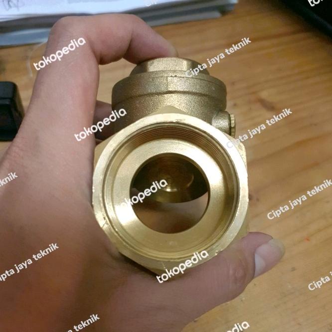 Swing Check Valve Kuningan / Klep Tabok 1 1/4 (Inch) Pn16