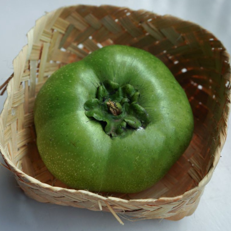 

(L ㊛W㊠R] Buah giant black sapote /banyak diiminati.!