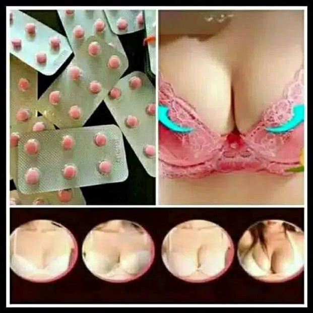 

[I ❦I㊖Q> Orderan Khusus Pil Hormon Montok -trending!