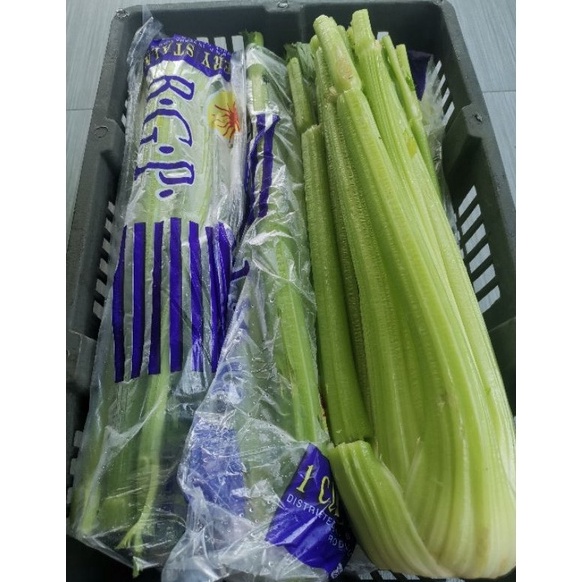 

(L ㊛D✯J] Celery Stick Import seledri Berkualitas FRESH /viiral.!!