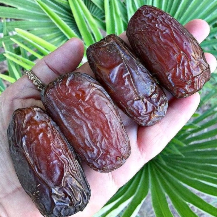 

(N-☎8➛Q) kurma medjool 1kg Palestina / kurma medjol 1 kg Palestina / kurma menjol medium murah -berkualiitas.!