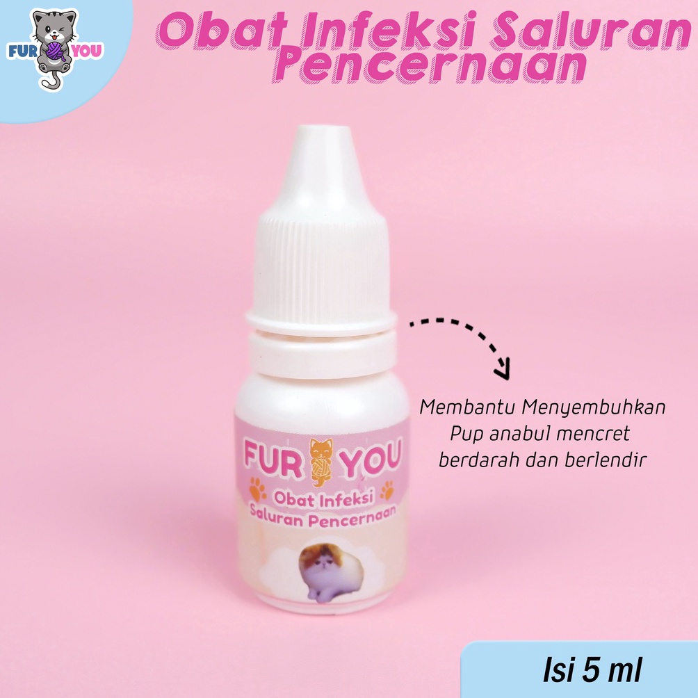 Dijamin Baru Obat pup berdarah berlendir pada kucing With Discount