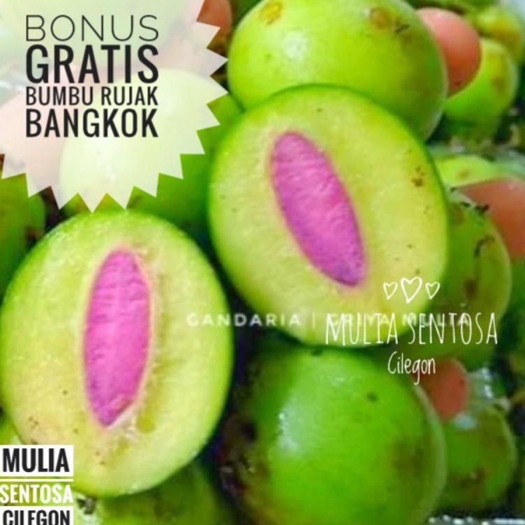 

(NP㊖/G➲) Gandaria mentah fresh Organik baru petik 250 gram - Jatake mentah- siiap.dikirim.!!
