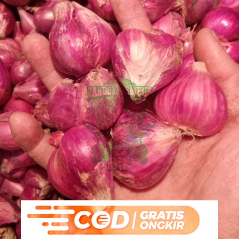 

Bawang Merah Brebes Pilihan Besar-Besar 500Gram