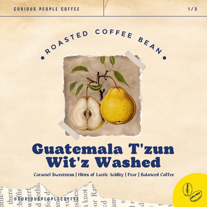 

Jualan Biji Kopi Arabika Manual Brew - Guatemala T'Zun Wit'Z Washed - 200 Gr Hemat