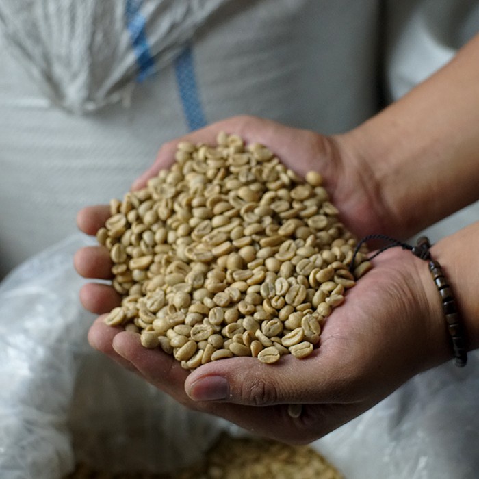 

Murah Green Bean Fine Robusta Bergaransi