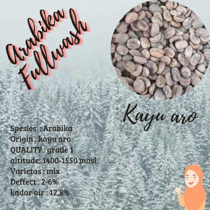 

Gaya Greenbean/Biji Kopi Arabica Kayu Aro Fullwash 1Kg Terbatas