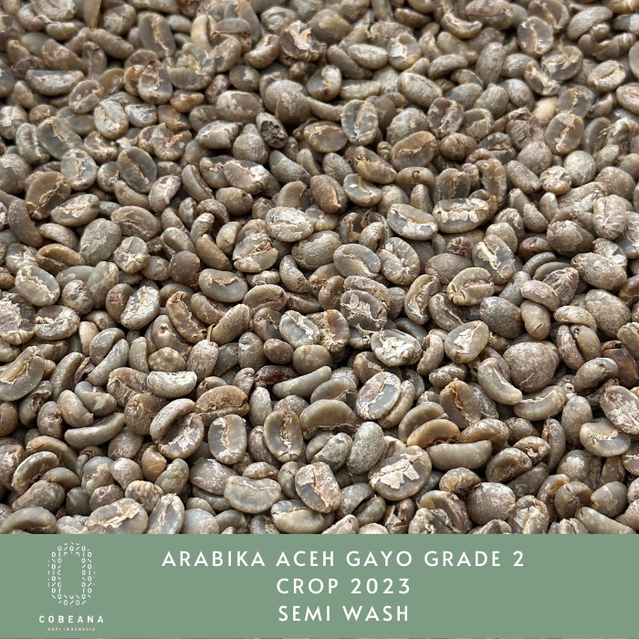 

Diskon Biji Kopi Arabika Aceh Gayo Semi Washed Grade 2 Greenbean Bagus