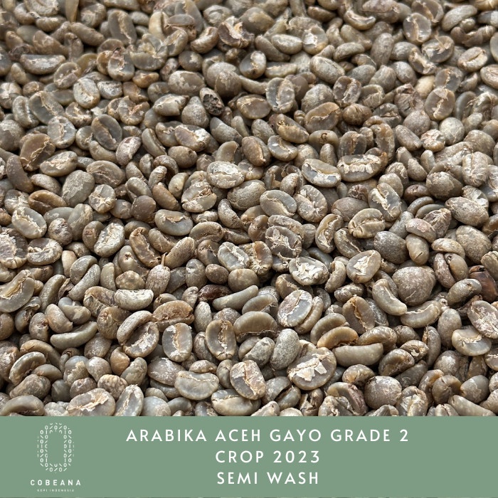 

Diskon Biji Kopi Arabika Aceh Gayo Semi Washed Grade 2 Greenbean Bagus