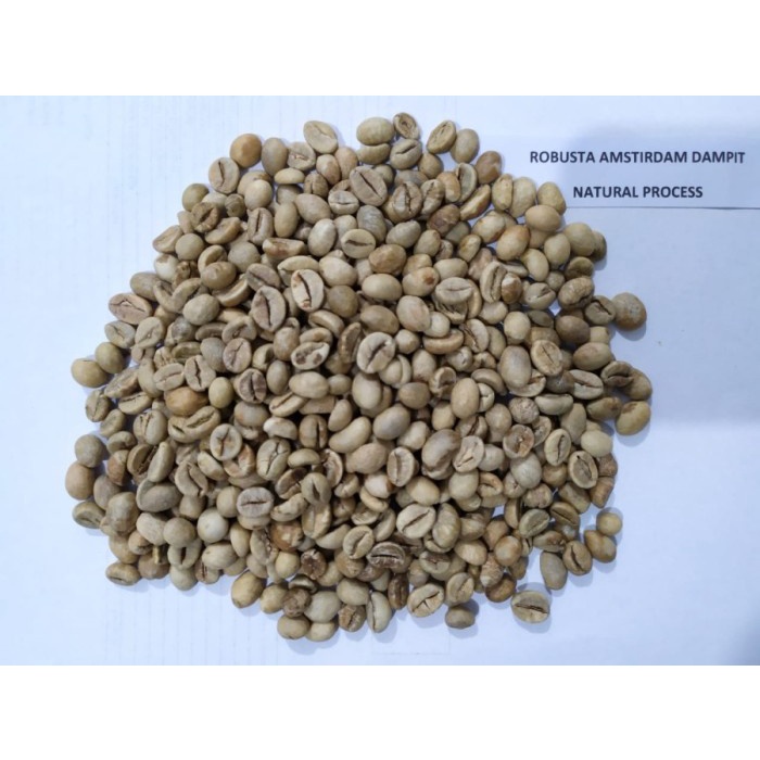 

Cantik Green Bean Robusta Amstirdam Dampit - Natural Process - 1Kg Terlaris