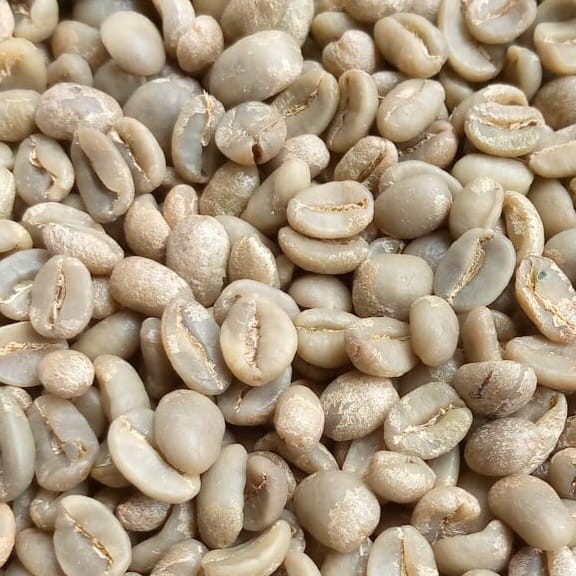 

Murah Biji Kopi (Gb) Garut Gn. Cikuray Fw Hot Sale
