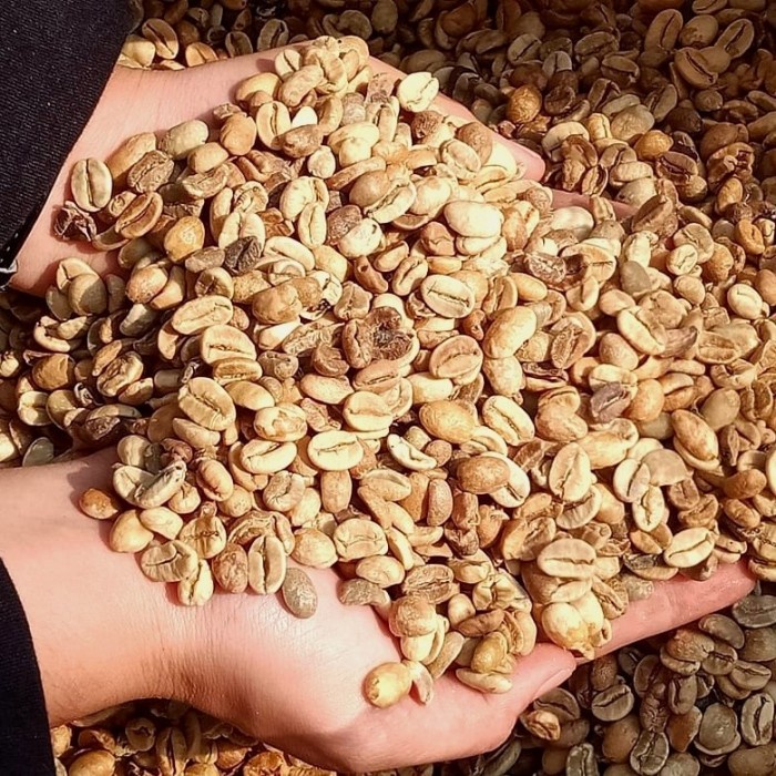 

Menakjubkan Green Bean Arabika Lintong Natural 1 Kg Berkualitas