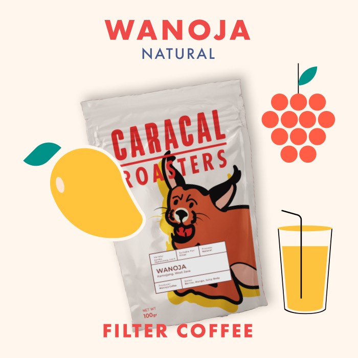 

Produk Wanoja Natural 100Gr (Biji Kopi Arabika) Hemat