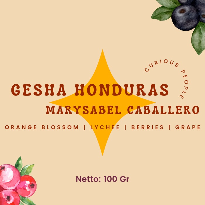 

Cuci Gudang Biji Kopi Arabika Manual Brew - Honduras Gesha Marysabel - 100 Gr Diskon