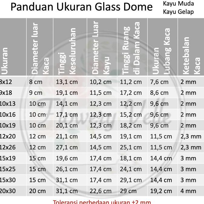 Kubah Kaca Glass Dome Besar Kosong Glassbox Container Display Box