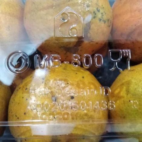 Kotak Mika Buah 1 Kg MB800 25 pc Anggur Jeruk Jambu