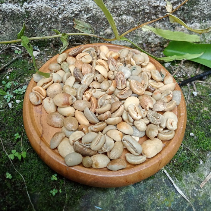 

Star Green Bean Arabika Sidikalang Natural Proses - 1 Kg Specialty Coffee Gilaa!!!