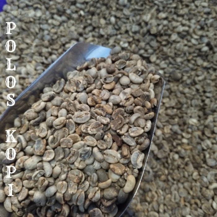 

Cantik Green Bean - Biji Kopi Arabika Aceh Gayo Grade 2 500Gr/1Kg Berkualitas