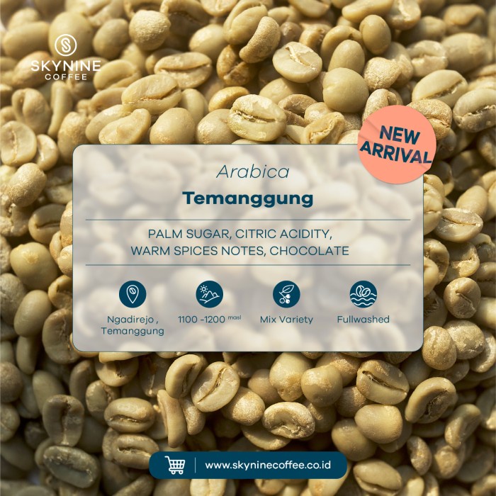 

Gaya Arabika Temanggung Fullwashed Biji Kopi Mentah Terlaris