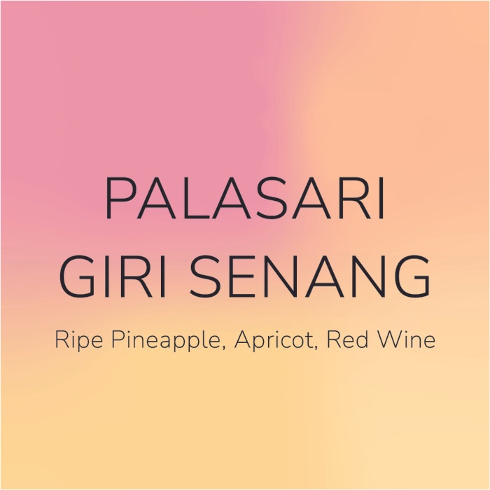 

Gilaa!!! Palasari Girisenang Natural Filter Roast Berkualitas