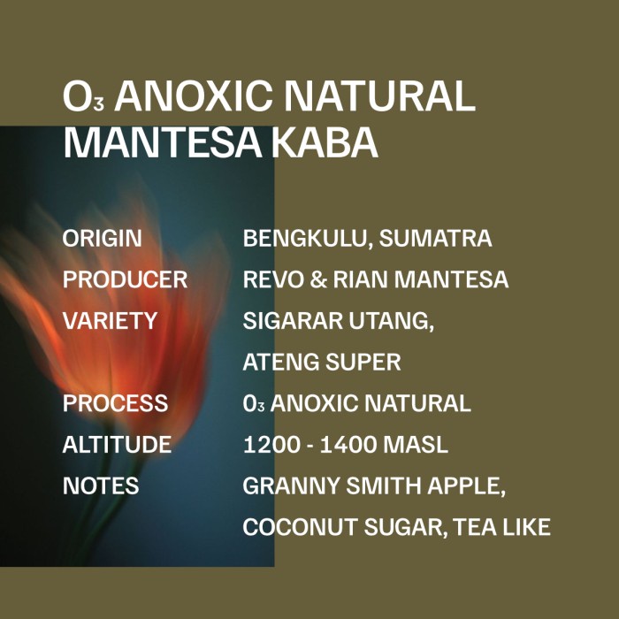 

Produk Unggulan Bengkulu Kaba Anoxic Natural - Kopi Single Origin Manual Brew (200Gr) Hot Sale