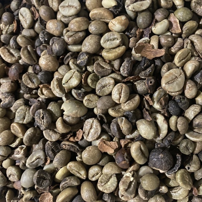 

Hot Sale Green Beans Robusta Asalan Murah 1 Kg Trendi
