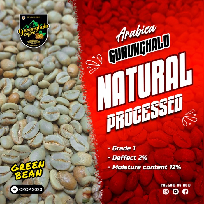 

Promo Green Bean Kopi Arabika Gununghalu - Natural Process (Dry Hull) - 1 Kg Berkualitas