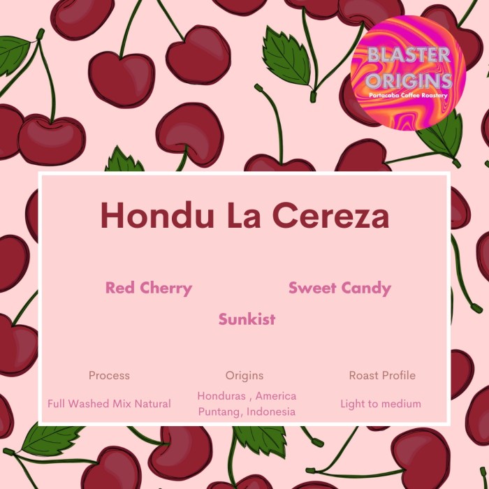 

Bergaransi Kopi Arabika Honduras Mix Puntang Hondu La Cereza Blaster Origins Hot Sale