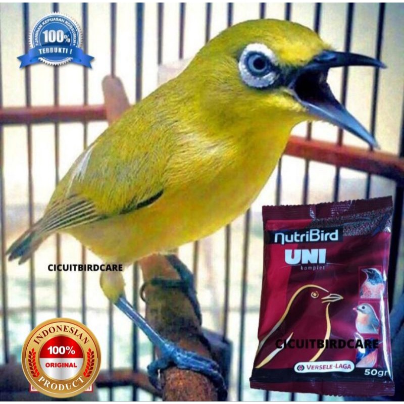 paket hemat pleci Dextro 87 dan nutribird saset