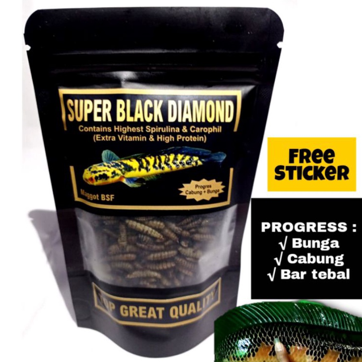 Ready➯ Pakan chana maru ys progres bunga batik biar cepat kuning I45 ➻