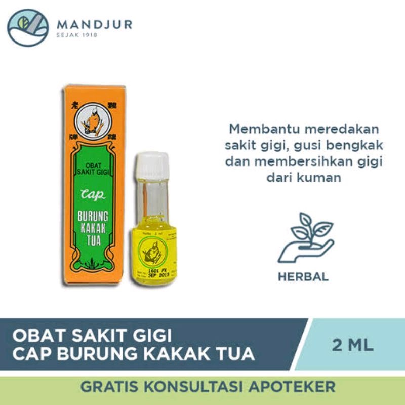 OBAT SAKIT GIGI | BURUNG KAKAK TUA