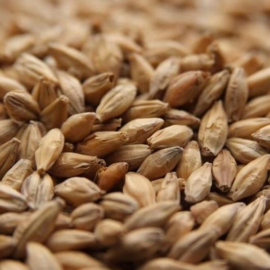 Ready oke] Weyermann Vienna Malt 6.0-9.0 EBC 1000gr GERMANY - Milled