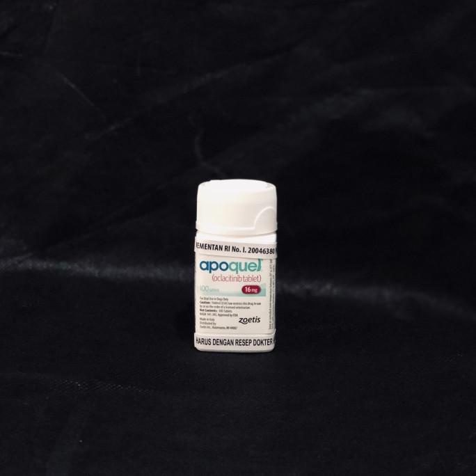 APOQUEL DOG 16 MG (10 TABLET)