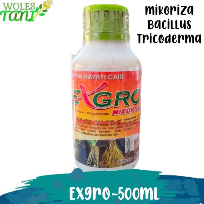 <<<<<] Exgro 500 ml Mikoriza Cair Pupuk Mikoriza Endomikoriza