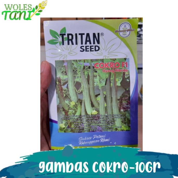 $$$$] Benih Gambas Cokro F1 10 Gram Pengganti Gambas Prima Gambas AnggunTavi